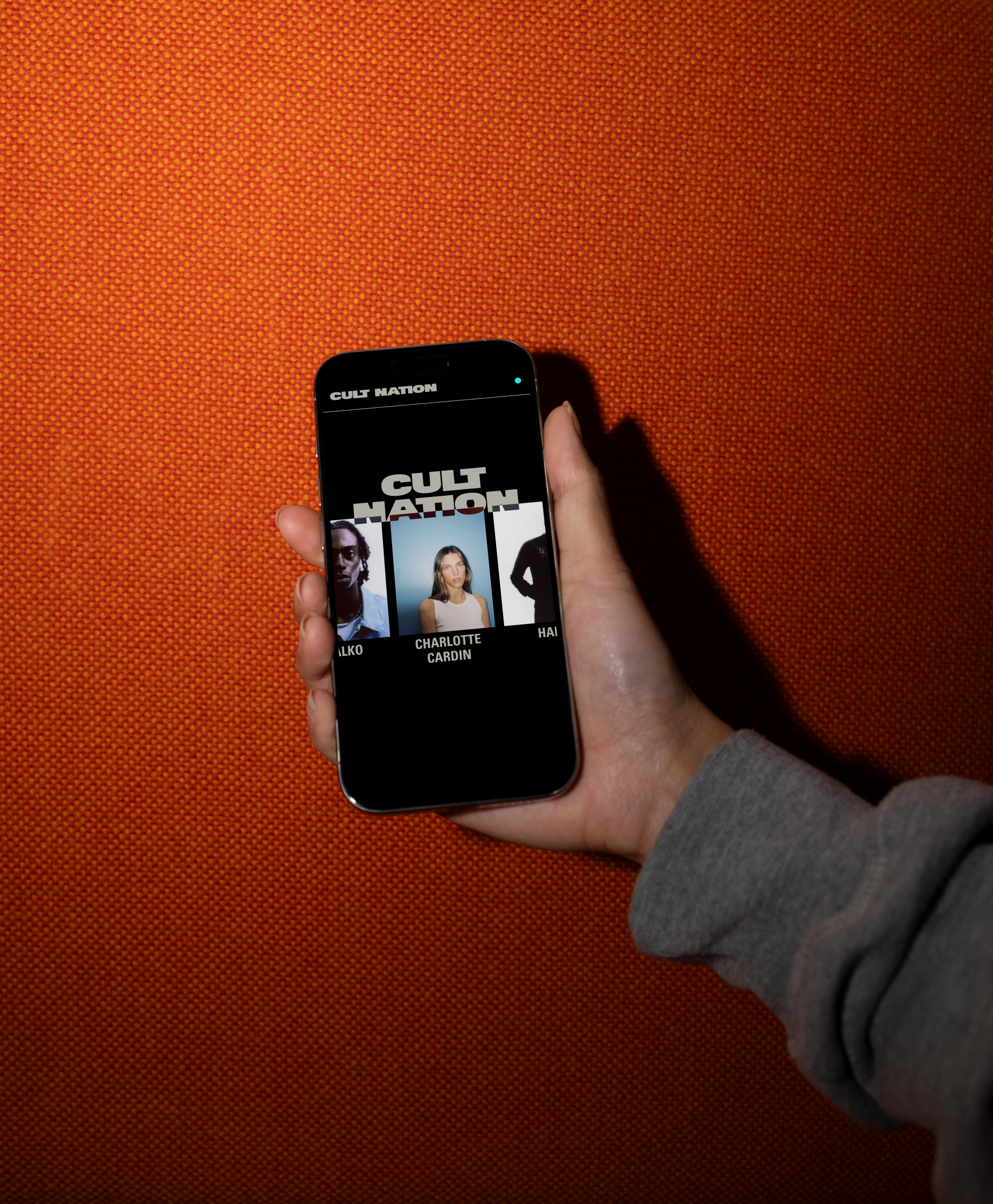 Painting of a fish in a pond